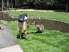 CairnsTC294 Wildlife Habitat